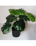 Dekopflanze Monsteria, Textil, grün im Topf