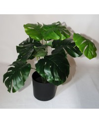 Dekopflanze Monsteria, Textil, grün im Topf