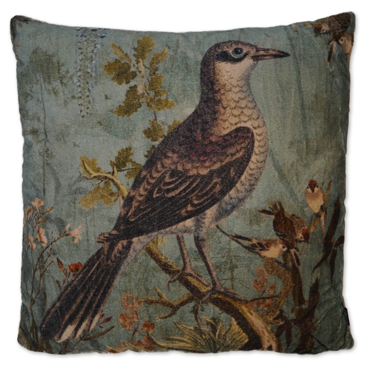 Kissen, Vogelmotiv, grün/türkis multicolor, Baumwollsamt, 45x45 cm