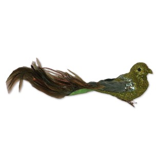 Vögel, Klemmvögel, Federstolz, grün gefiedert, Glitzeroptik, 6er-Set