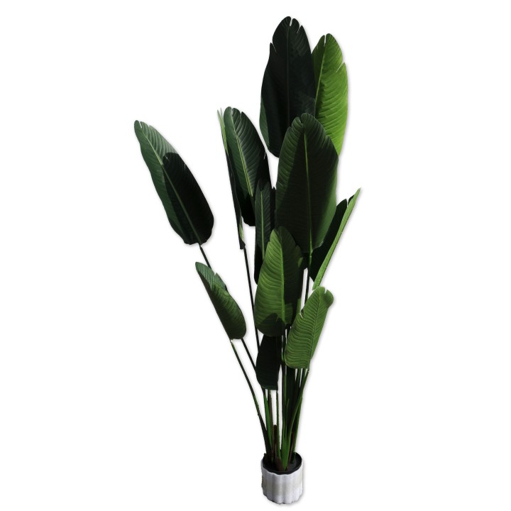 Banane, Kunstpflanze, Grünpflanze, Kunststoff Farbmix, Topf schwarz, Höhe 185 cm