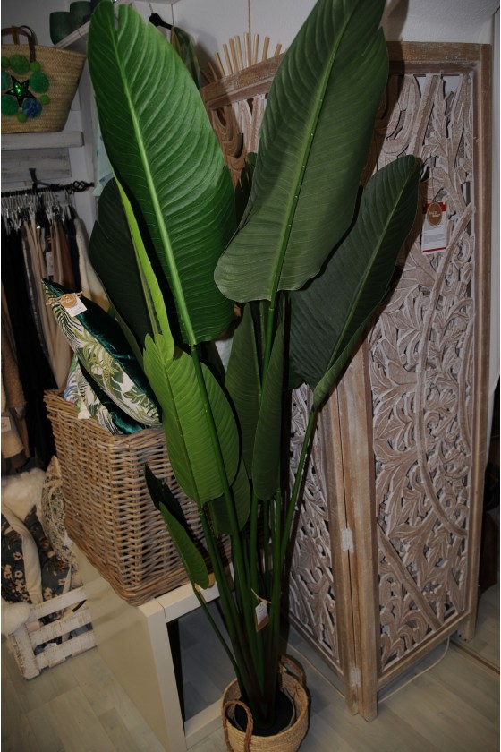Banane, Kunstpflanze, Grünpflanze, Kunststoff Farbmix, Topf schwarz, Höhe 185 cm