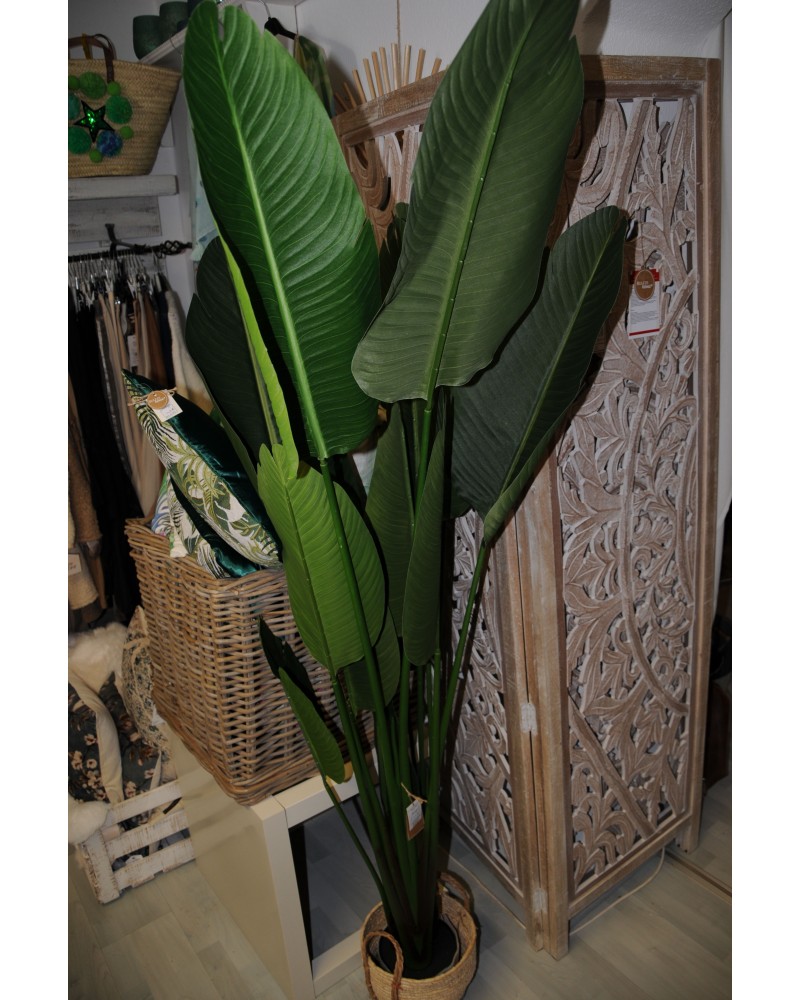 Banane, Kunstpflanze, Grnpflanze, Kunststoff Farbmix, Topf schwarz, Hhe  185 cm