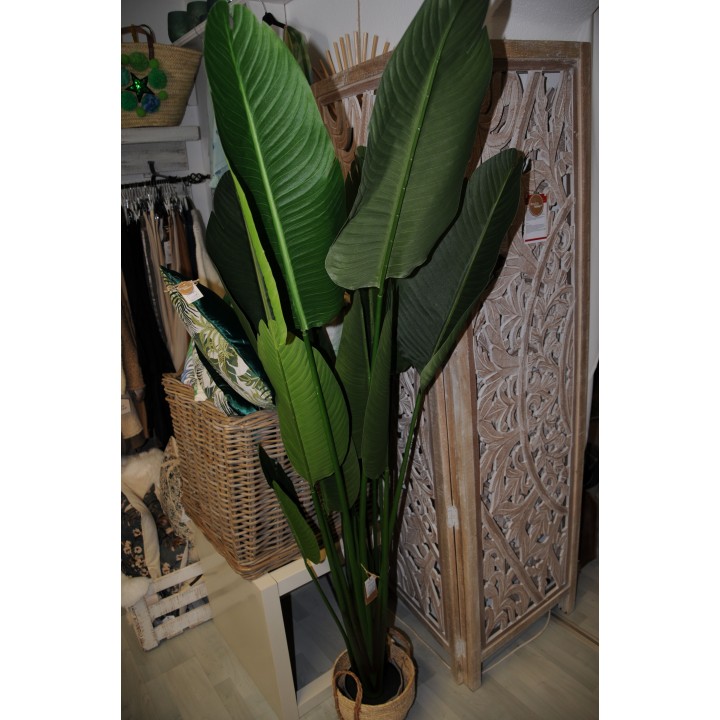 Banane, Kunstpflanze, Grünpflanze, Kunststoff Farbmix, Topf schwarz, Höhe 185 cm