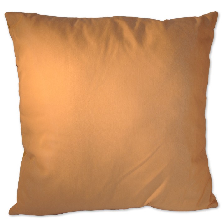 Motivkissen, beige, Ski/Reh/Schrift Alps, Gobelin, 45x45 cm