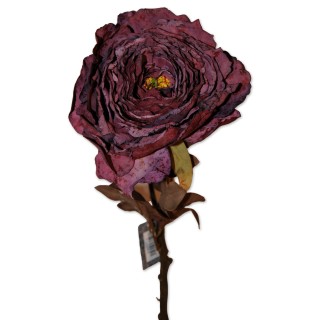 Rosen, Artificial Nature, burgunder, 62 cm