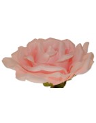 Kunstblume, Riesenblüte, "Rose"