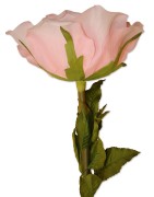 Kunstblume, Riesenblüte, "Rose"