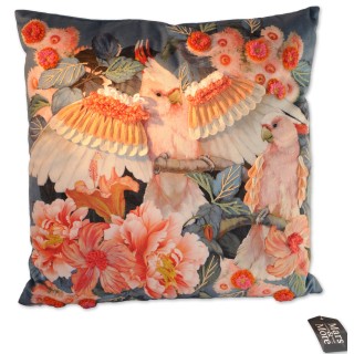 Kissen "Kakadu" sitzend, Vorderseite multicolor/petrol, 45 x 45 cm, Samt