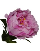 Riesenblume, Zier-Rose rosa Textil