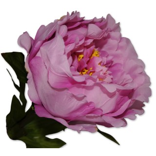 Riesenblume, Zier-Rose rosa Textil