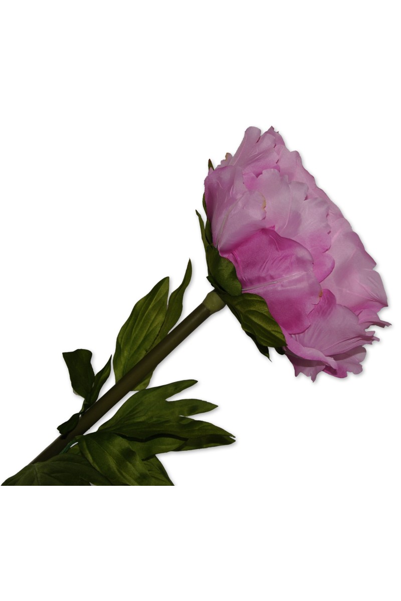 Riesenblume, Zier-Rose rosa Textil