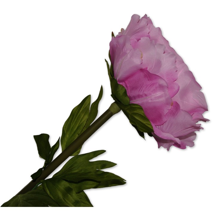 Riesenblume, Zier-Rose rosa Textil