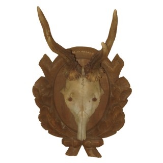 Geweih