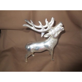 Hirsch